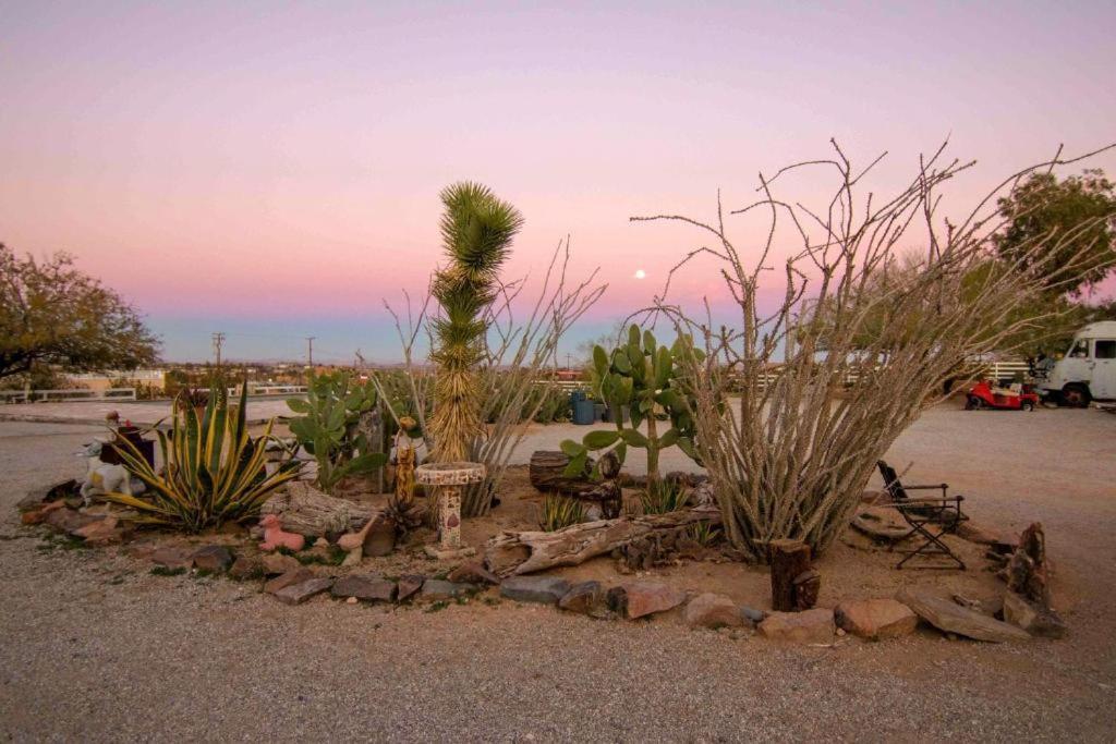 Joshua Tree Ranch House Motel - Downtown - Room #3 ภายนอก รูปภาพ